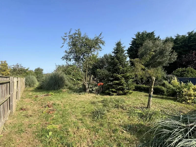 Overgrown grass plot with mature trees and boundary fence before development